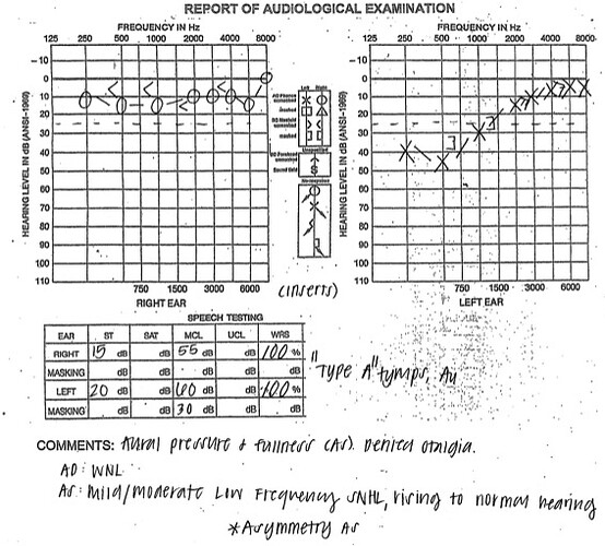 Audiogram july 5-2024-crop
